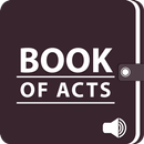 Audio Bible - Book Of Acts Only (KJV) aplikacja