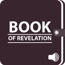 Audio Bible - Book Of Revelation With KJV Text APK
