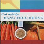 Icona Cai nghiện bằng thực dưỡng