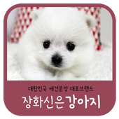 장화신은강아지 icon →