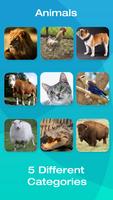 برنامه‌نما Animals عکس از صفحه