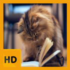 Baby Kitten HD FREE Wallpaper icon