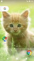 Baby Kitten HD FREE Wallpaper screenshot 3