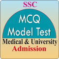 MCQ Model Test