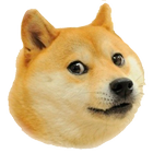 Dogeeee アイコン