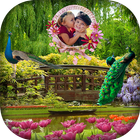 Peacock Photo Frame biểu tượng