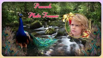 Peacock Photo Frame Affiche