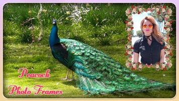 Peacock Photo Frame ảnh chụp màn hình 1