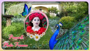 Peacock Photo Frame ảnh chụp màn hình 3