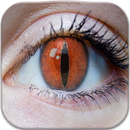 Dragon Eyes Photo Editor APK