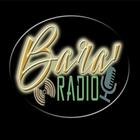 Bara' Radio icône