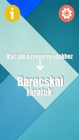 پوستر Baracskai Menetrend