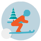 Downhill Ski-icoon