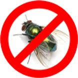 Anti Lalat Terampuh Prank