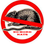 Anti Tikus Terampuh Prank