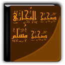 صحيح البخاري ومسلم APK