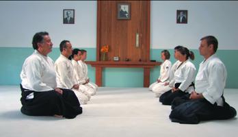 Basic techniques of Aikido. 포스터