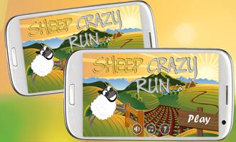 Sheep Crazy Run Affiche