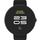 DJ Tiesto Watch Face icône