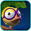 Crazy Bird Game Free