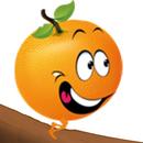 APK Salta Naranja