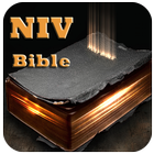 NIV Bible-icoon