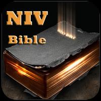 NIV Bible capture d'écran 2