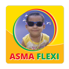 AsmaFlexi icono