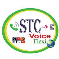 STC Voice Poster