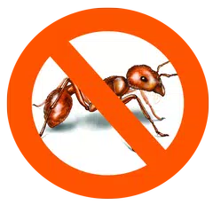 Ants Repellent APK download
