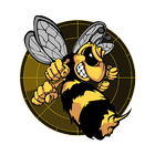 Wasp Repellent icon