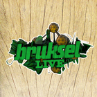 Bruksellive آئیکن