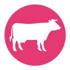 Livestock, auction & beef News آئیکن