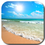 Beach Video Live Wallpaper أيقونة