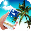 Sunny Beach Shell Coconut