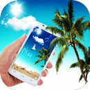Sunny Beach Shell Coconut APK