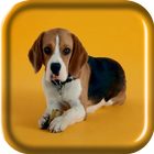 Beagle Puppy Live Wallpaper icon