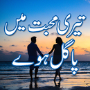 Teri mohabbat mein pagal huy Urdu novel APK