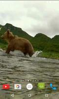 Ours 4K Fond d'écran animé capture d'écran 2