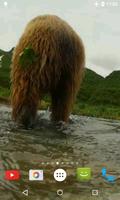 Медведь 4K-видео живые обои скриншот 3