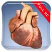 Beating Heart 3D Live Wallpap APK