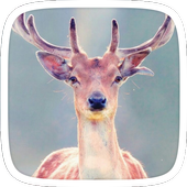 Beautiful Deer Iphone Theme icon