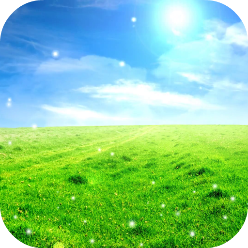 Landscape HD Video Wallpaper