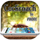 3D Cockroach in Phone prank APK