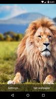 Lion Live Wallpaper HD imagem de tela 1