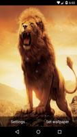 Lion Live Wallpaper HD imagem de tela 3