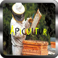 Beekeeping