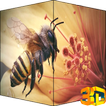 Bees Video HD 3D LWP