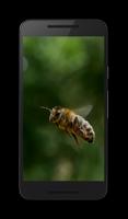 Bees 3D Affiche