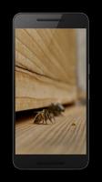 Bees 3D capture d'écran 1